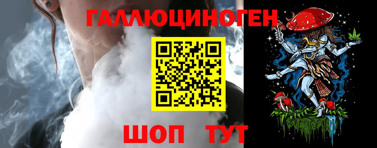 Галлюциногенные грибы Psilocybine cubensis Усть-Джегута
